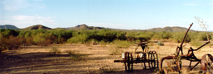 View to the north(photo)
